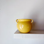 Yellow plant pot